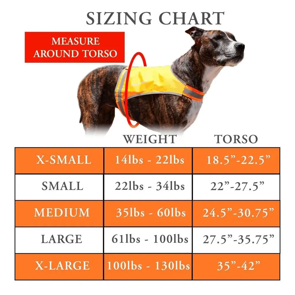 SafetyPUP XD Dog Safety Vest Reflective Large 61-100lb Blaze Orange HiVi Coat